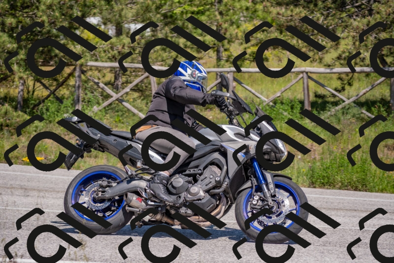 202505251445-DSC_3060_c4_