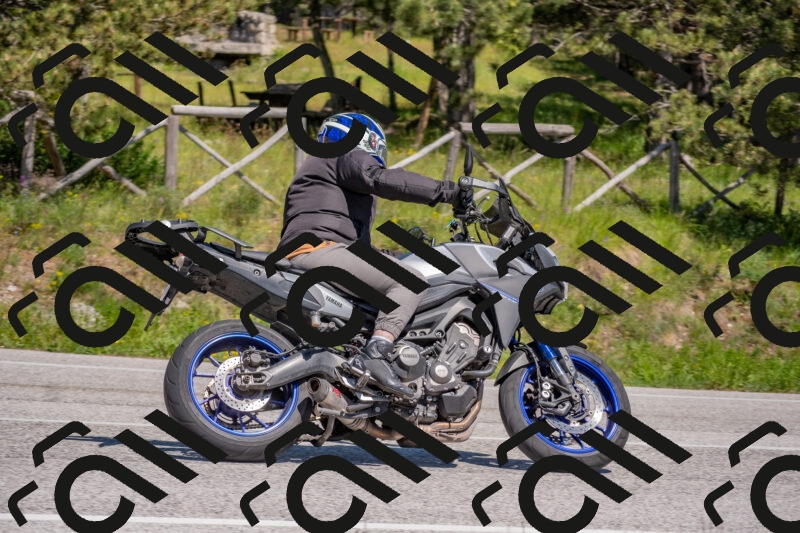 202505251445-DSC_3061_c4_