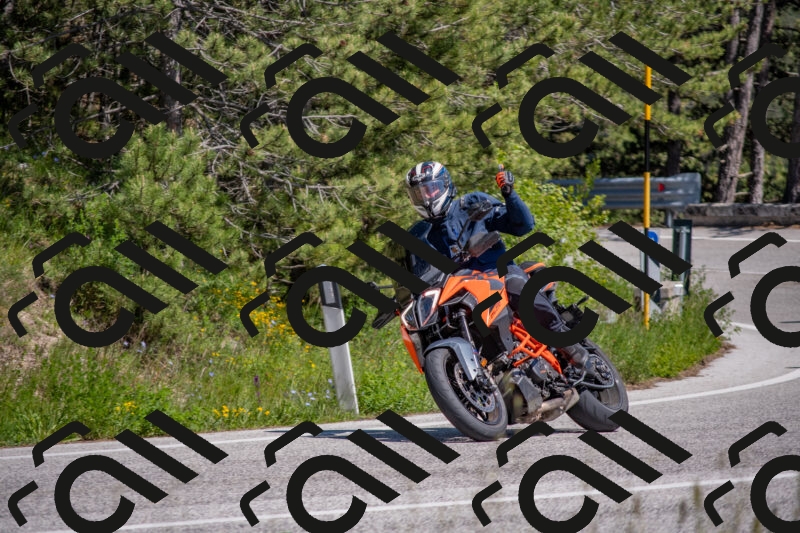 202505251446-DSC_3065_c4_