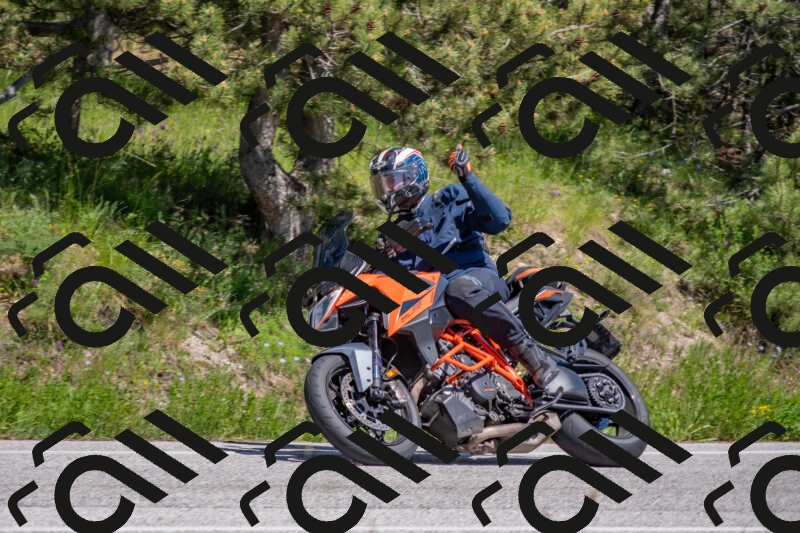 202505251446-DSC_3066_c4_