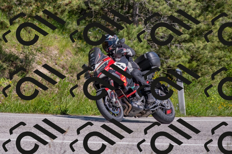 202505251446-DSC_3067_c4_