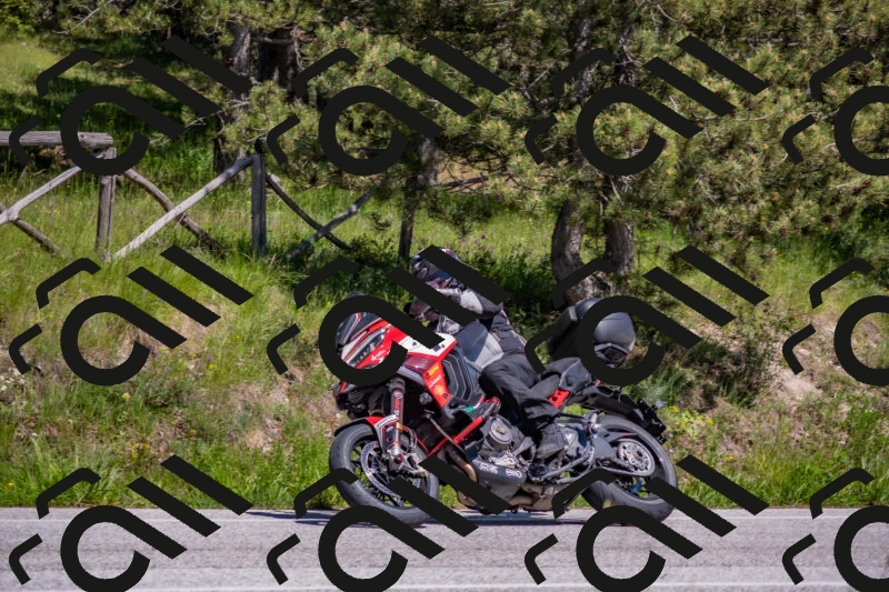 202505251446-DSC_3068_c4_