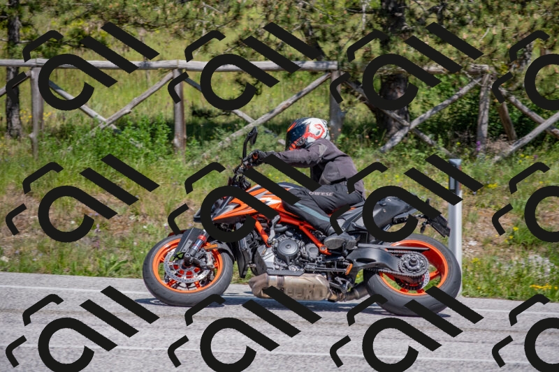 202505251446-DSC_3071_c4_