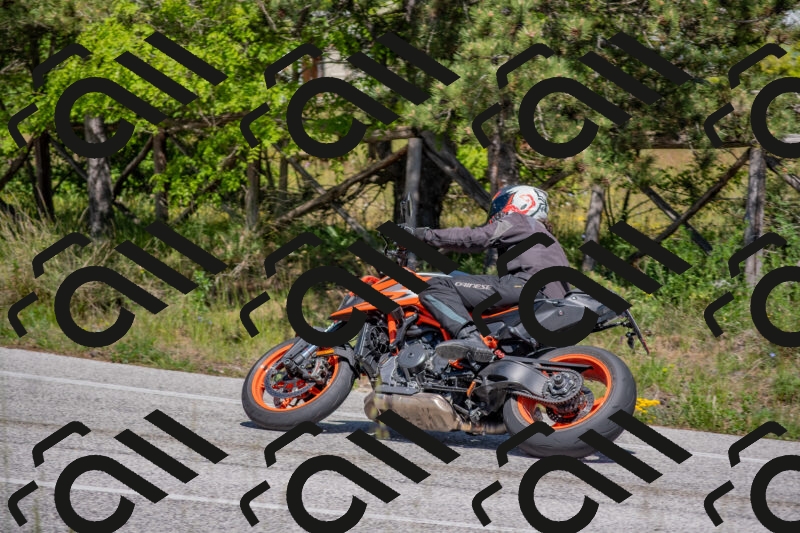 202505251446-DSC_3072_c4_