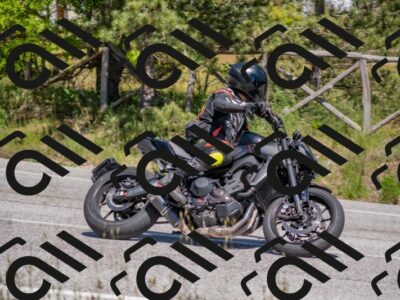 202505251447-DSC_3074_c4_