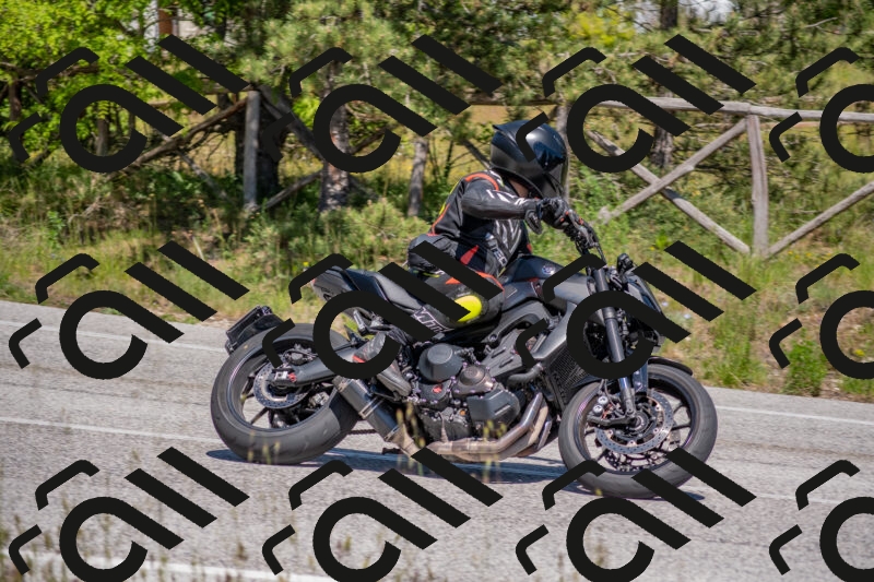 202505251447-DSC_3074_c4_