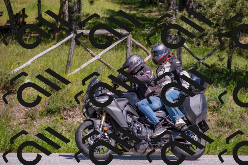 202505251450-DSC_3077_c4_