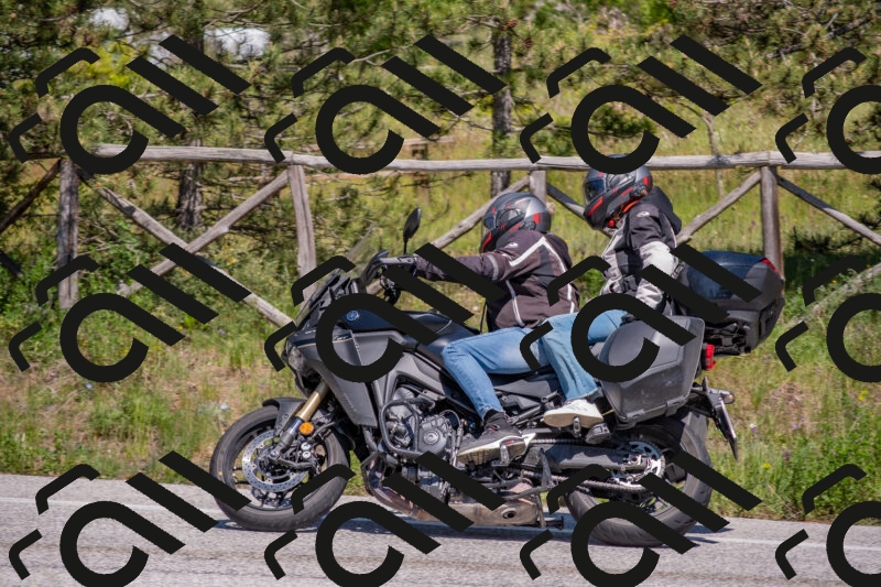 202505251450-DSC_3078_c4_