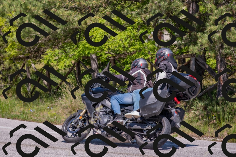 202505251450-DSC_3079_c4_