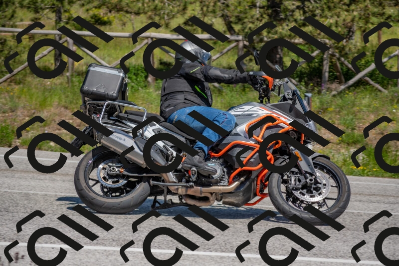 202505251450-DSC_3082_c4_