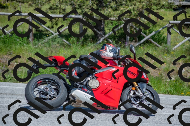 202505251452-DSC_3091_c4_