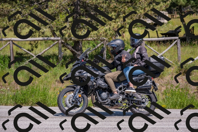 202505251452-DSC_3095_c4_