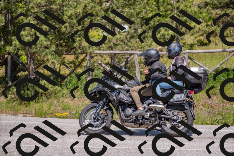 202505251452-DSC_3096_c4_