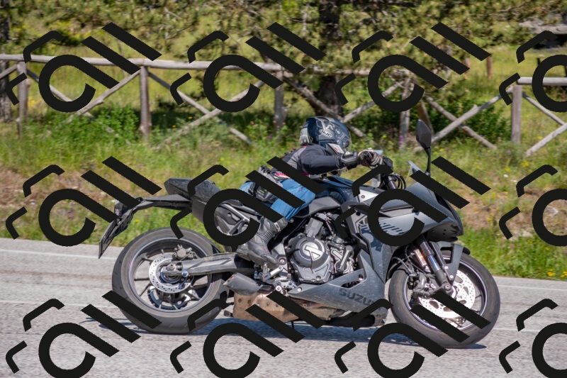 202505251453-DSC_3103_c4_