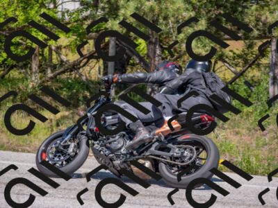 202505251459-DSC_3145_c4_