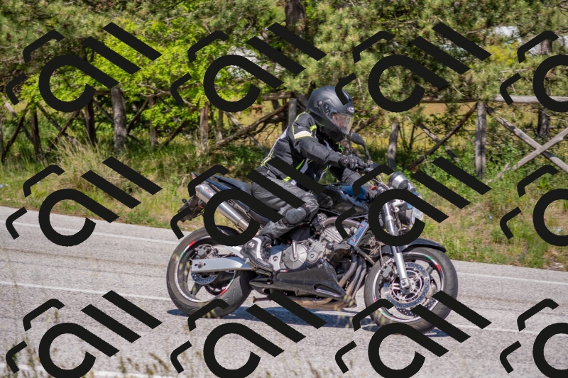 202505251501-DSC_3164_c4_