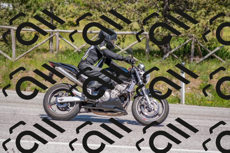 202505251501-DSC_3165_c4_