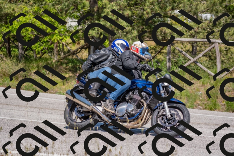 202505251502-DSC_3178_c4_