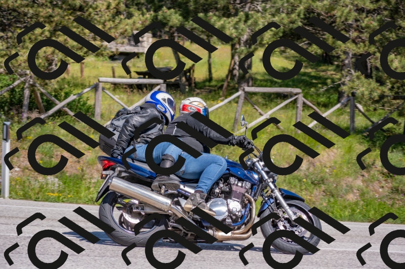 202505251502-DSC_3179_c4_