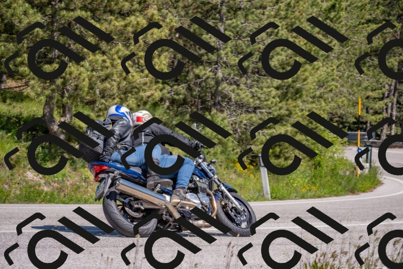 202505251502-DSC_3180_c4_