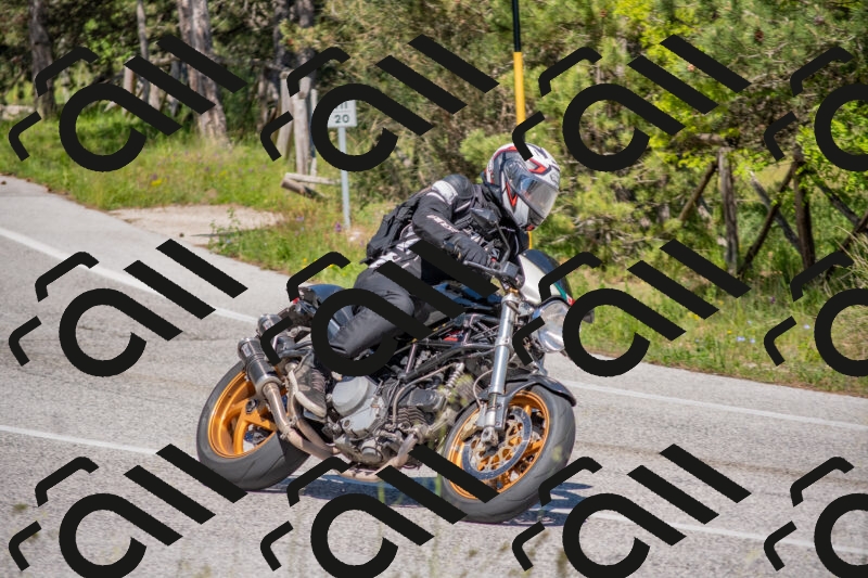 202505251502-DSC_3182_c4_