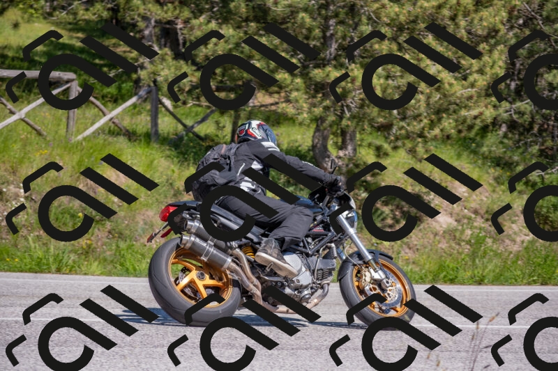 202505251502-DSC_3184_c4_