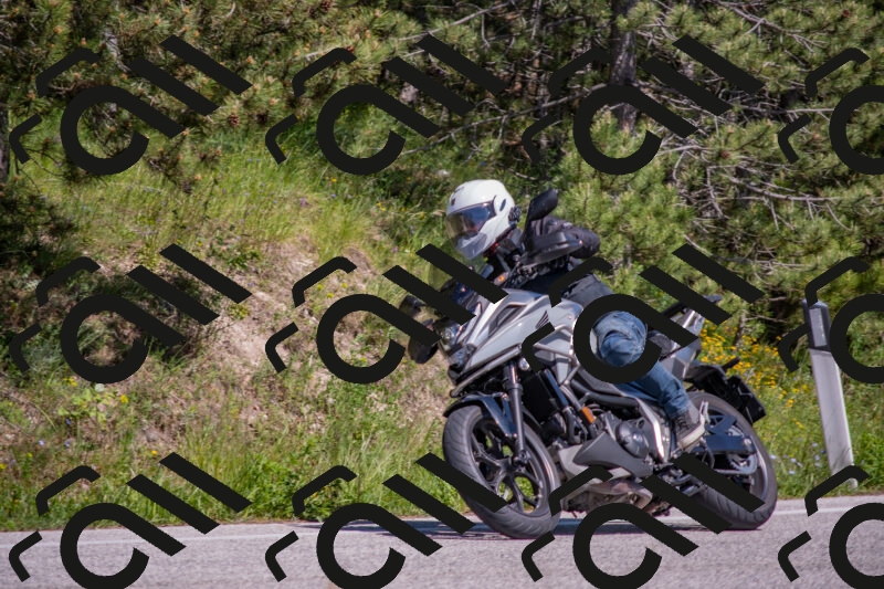 202505251503-DSC_3185_c4_