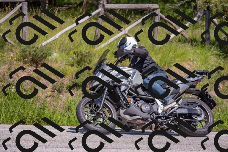 202505251503-DSC_3186_c4_