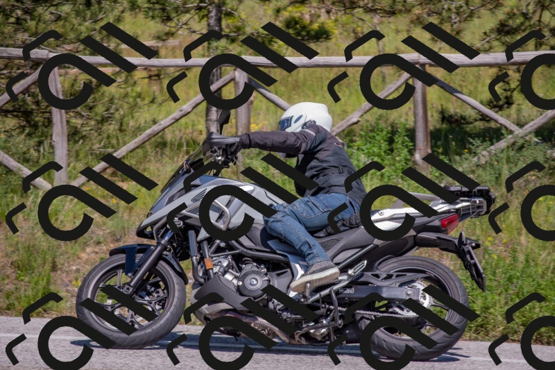 202505251503-DSC_3187_c4_