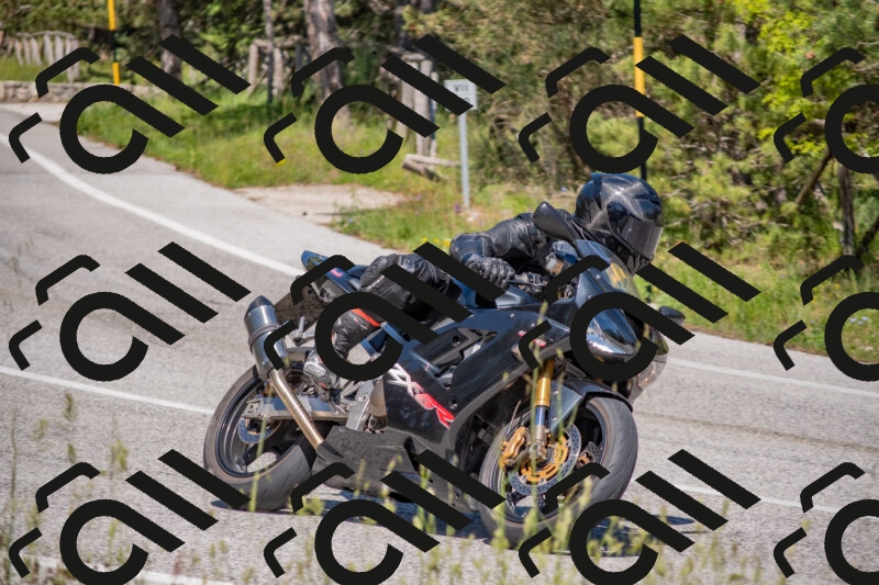 202505251503-DSC_3190_c4_