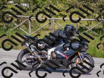 202505251503-DSC_3191_c4_