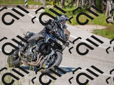 202505251503-DSC_3193_c4_