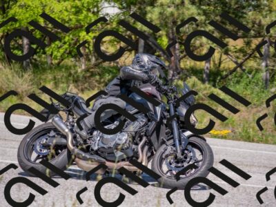 202505251503-DSC_3194_c4_