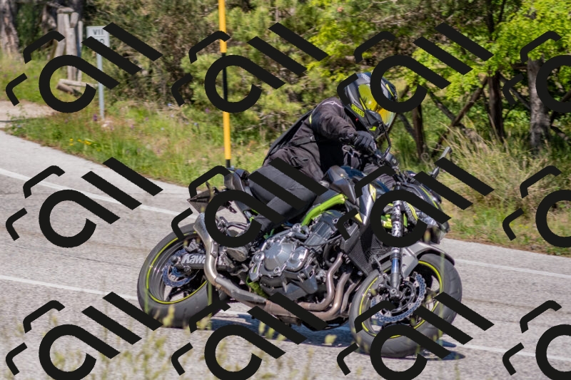 202505251503-DSC_3196_c4_