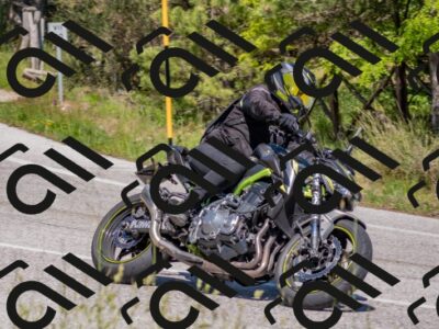 202505251503-DSC_3196_c4_