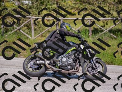 202505251503-DSC_3197_c4_