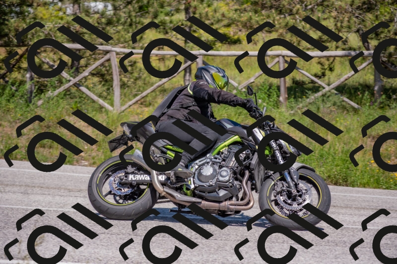 202505251503-DSC_3197_c4_