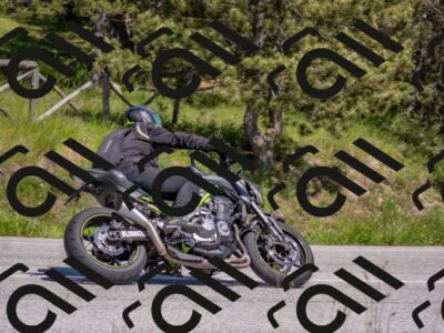 202505251503-DSC_3198_c4_