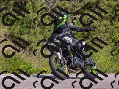 202505251503-DSC_3204_c4_