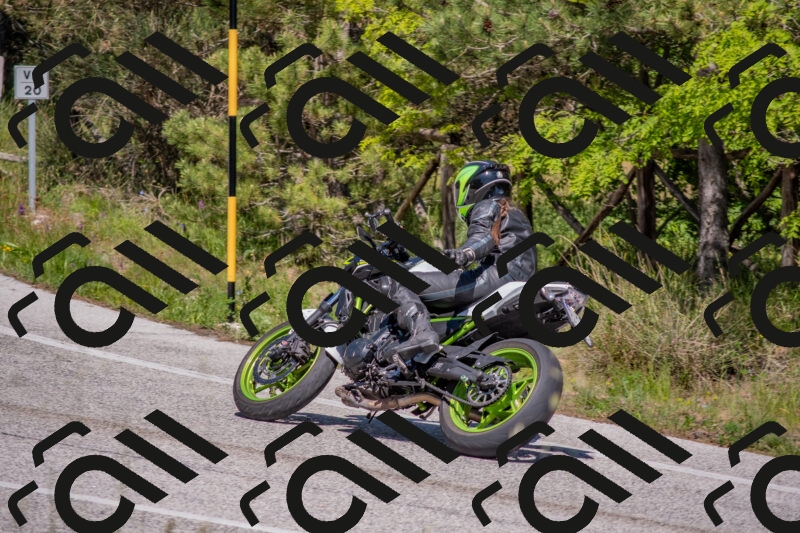 202505251503-DSC_3206_c4_