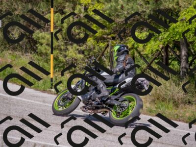 202505251503-DSC_3206_c4_