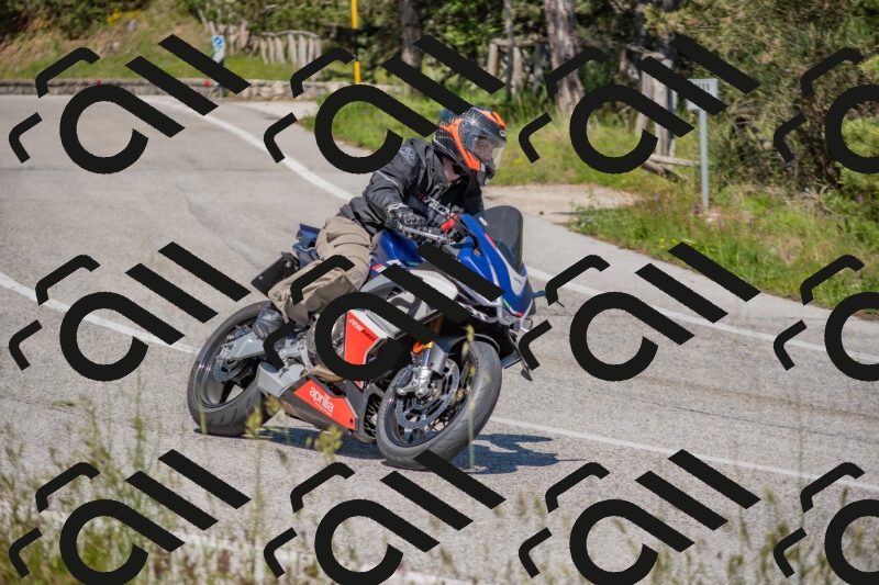 202505251503-DSC_3208_c4_