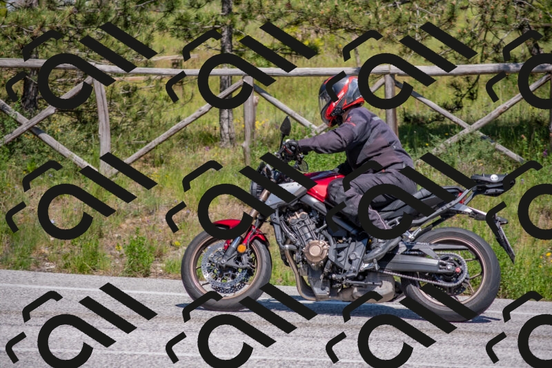 202505251504-DSC_3219_c4_