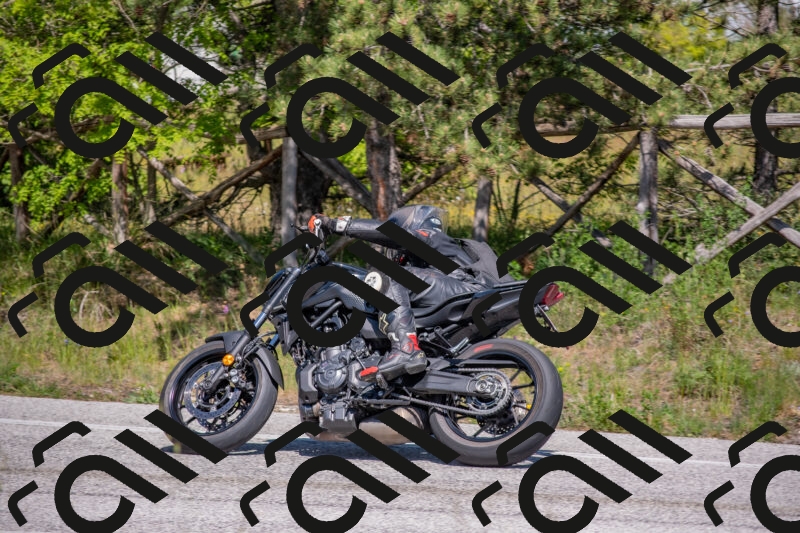 202505251504-DSC_3223_c4_