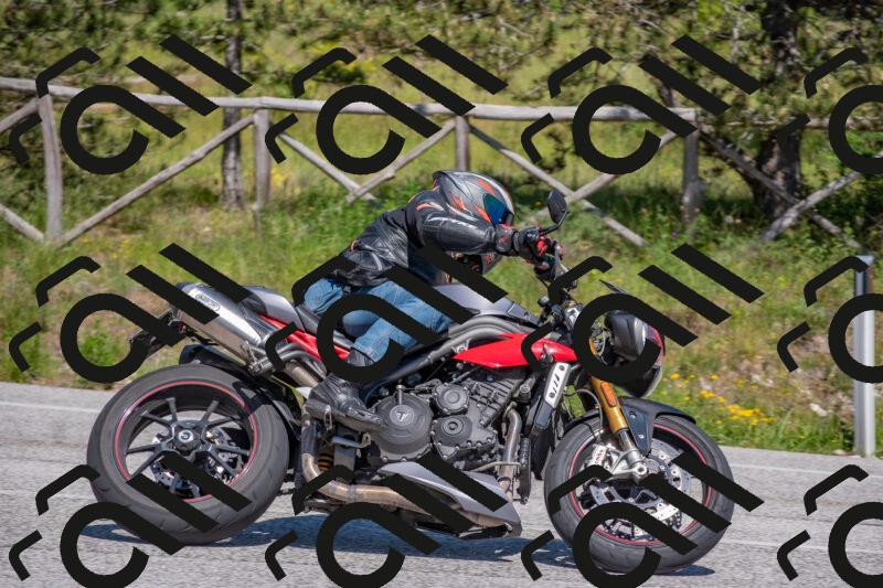 202505251504-DSC_3235_c4_