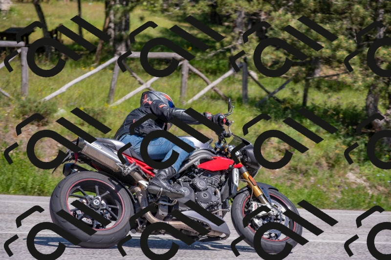 202505251504-DSC_3236_c4_