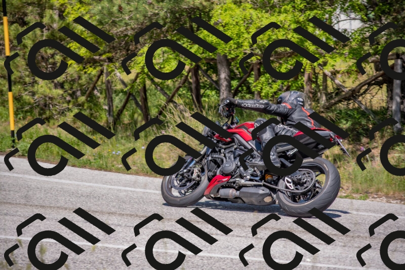 202505251504-DSC_3238_c4_