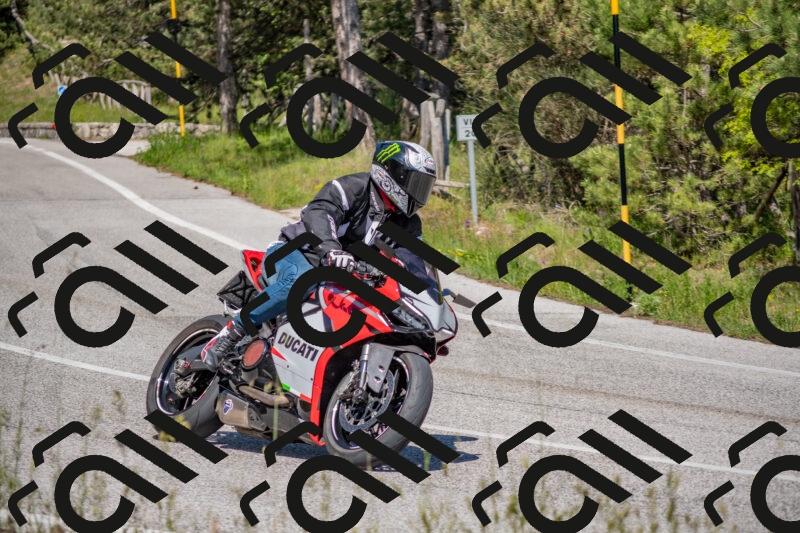 202505251504-DSC_3241_c4_