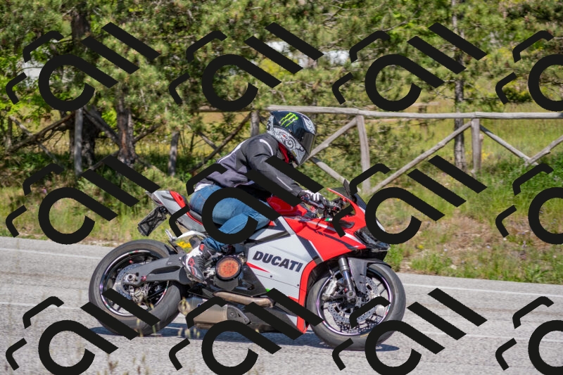 202505251504-DSC_3242_c4_