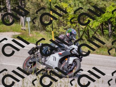 202505251505-DSC_3254_c4_